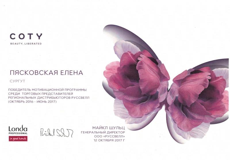 Диплом торгового представителя, как лучшего в регионе 2017 год Проф Косметика магазин профессиональной косметики и аксессуаров