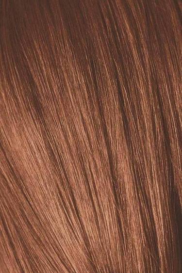 Schwarzkopf Igora Royal Absolute Крем-краска для волос 7/710 средний русый медный сандрэ 60мл