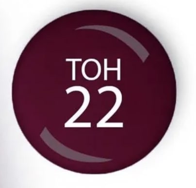 Brigitte Bottier Лак для ногтей Gel Formula №22 (спелая вишня) 12мл