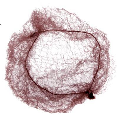 Сеточка-паутинка для пучка 2 шт, темно-коричневая