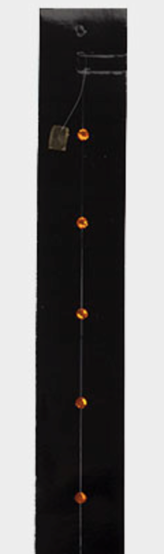 Стразы на леске с капсулой