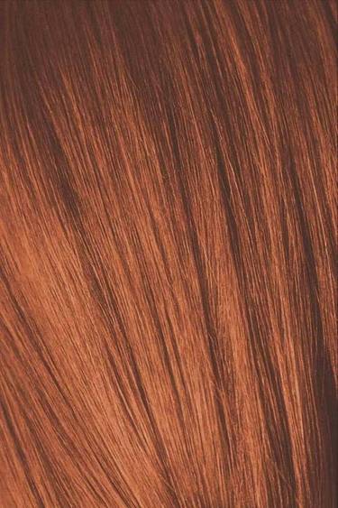Schwarzkopf Igora Royal Absolute Крем-краска для волос 7/70 средний русый медный натуральный 60мл