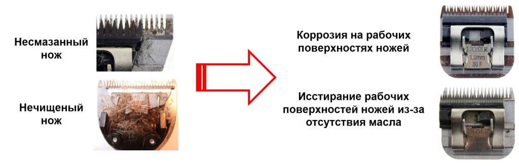 Последвия не правильного ухода за ножом Последвия не правильного ухода за ножом