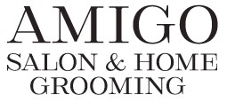 Amigo