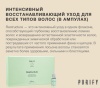 Kaaral Purify Лосьон для волос восстанавливающий Restructure Intense Repair Treatment 12*10мл