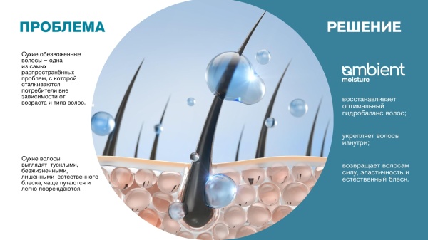 Tefia_Ambient_ Moisture_2