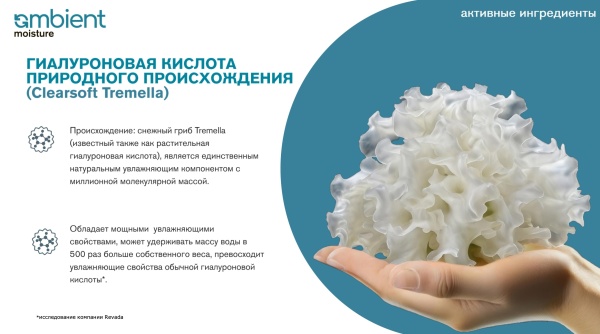 Tefia_Ambient_ Moisture_3