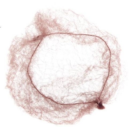 Сеточка-паутинка для пучка 2 шт, коричневая