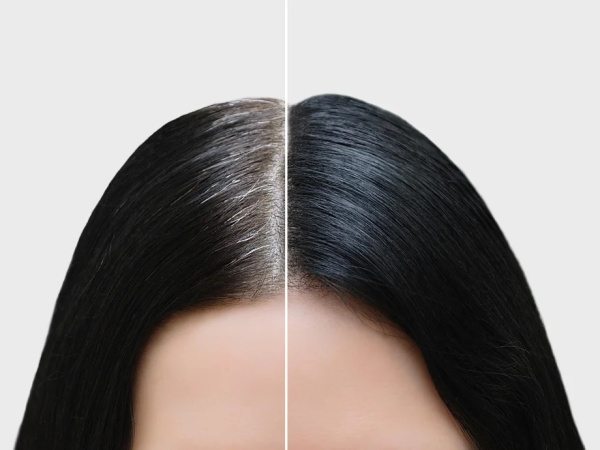 L'Oreal Professionnel Hair Touch Up Консилер для волос Чёрный (Black) 75мл