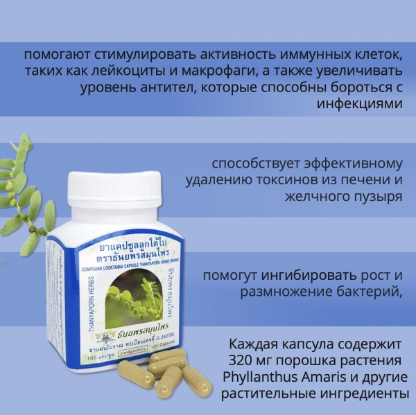 Thanyaporn Herbs Look Tai Bai Тайские капсулы Лук Тай Бай очищения печени 100шт