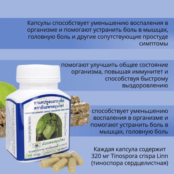 Thanyaporn Herbs Compound Boraped Тайские капсулы БоРаПед для облечения простудных, вирусных и легочных заболеваний 100шт