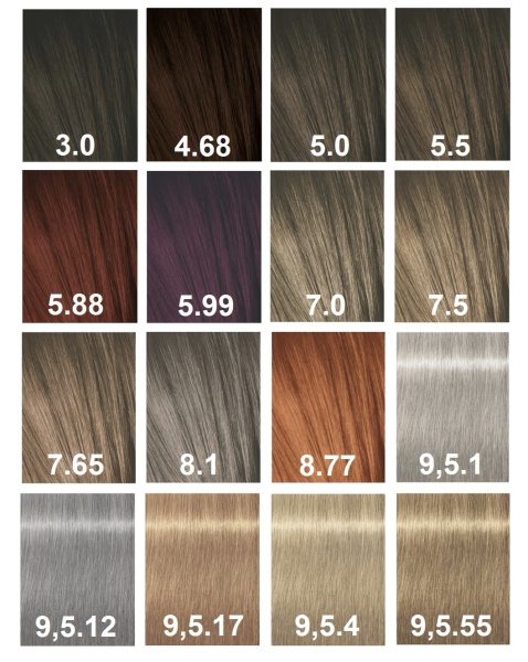 Schwarz Prof_Igora_Expert_Mousse палитра