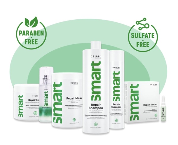 Dewal_Smart_Care_Repair 01